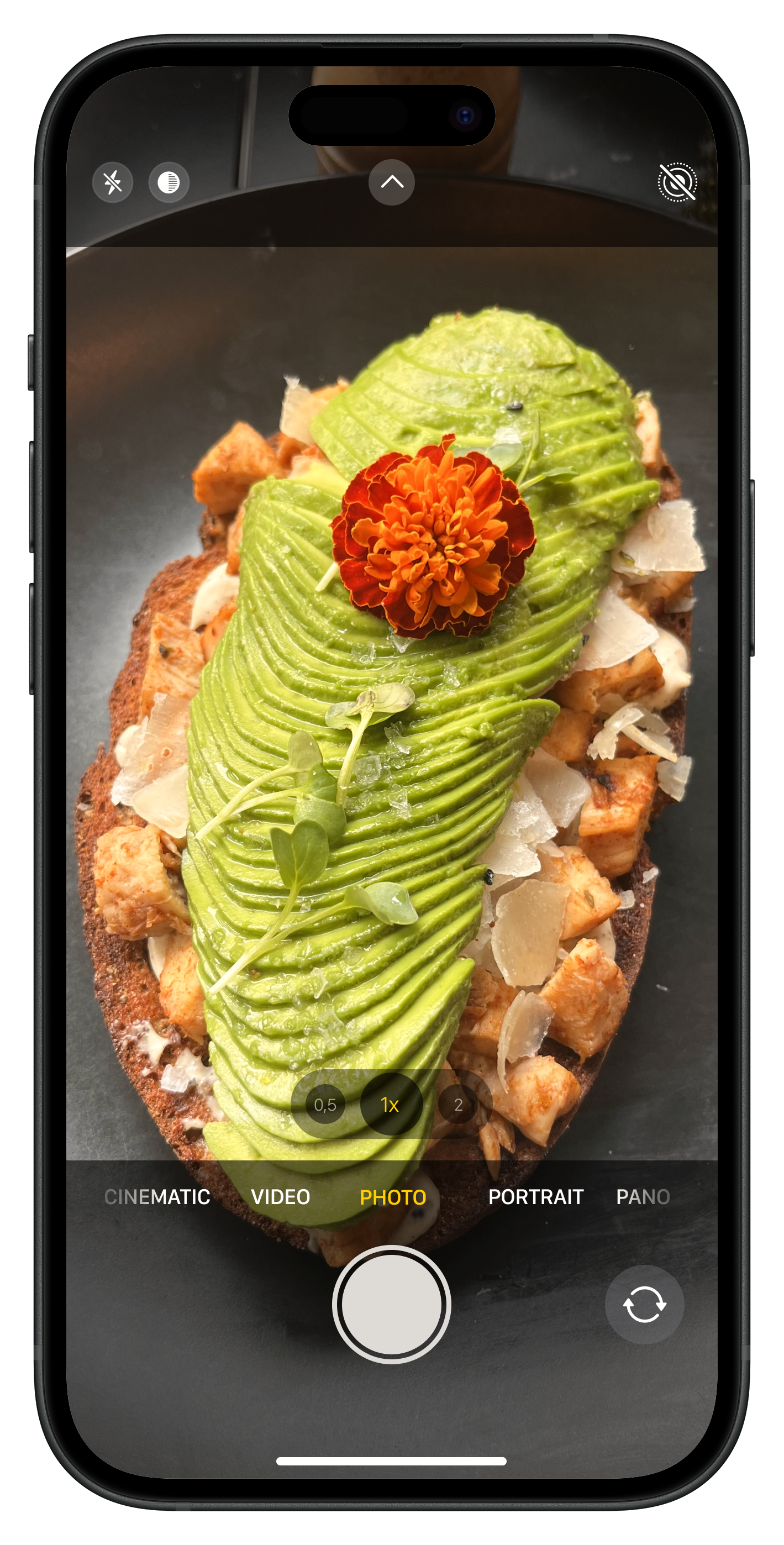 Taking a photo of a meal on iPhone