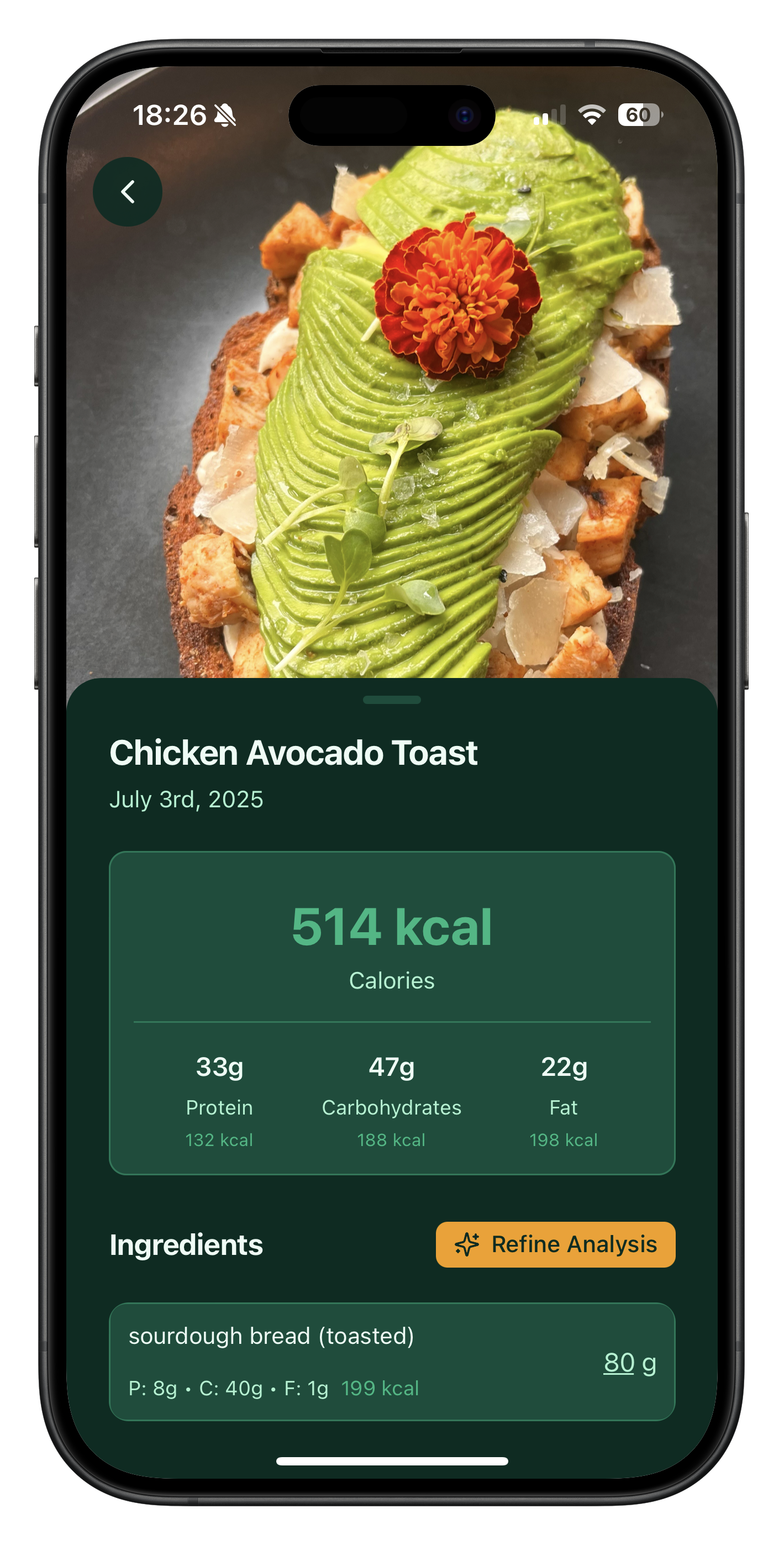 Meal macros and nutrition details on iPhone